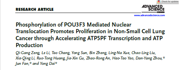 文章標(biāo)題頁截圖